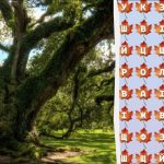 רק 2% מהגאונים ימצאו את המילה "עץ" תוך 10 שניות: