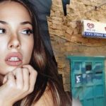 רק גאון ימצא כלב ברחוב תוך 7 שניות: אשליה אופטית מורכבת רק גאון ימצא כלב ברחוב תוך 7 שניות: אשליה אופטית