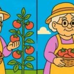 מבחן IQ: מצא 3 הבדלים בתמונות עם זקנה תוך 51