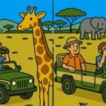 מבחן Super IQ: מצא 3 הבדלים בתמונה של תיירים תוך