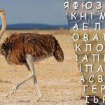 רק אנשים עם מנת משכל גבוהה ימצאו את המילה "יען"