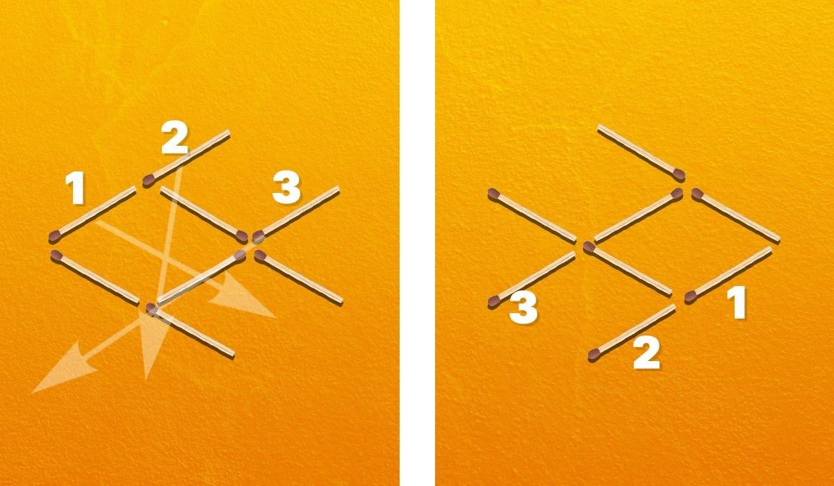 אתה צריך להזיז שלושה גפרורים כדי להפוך את הדג ימינה / קולאז' Moje