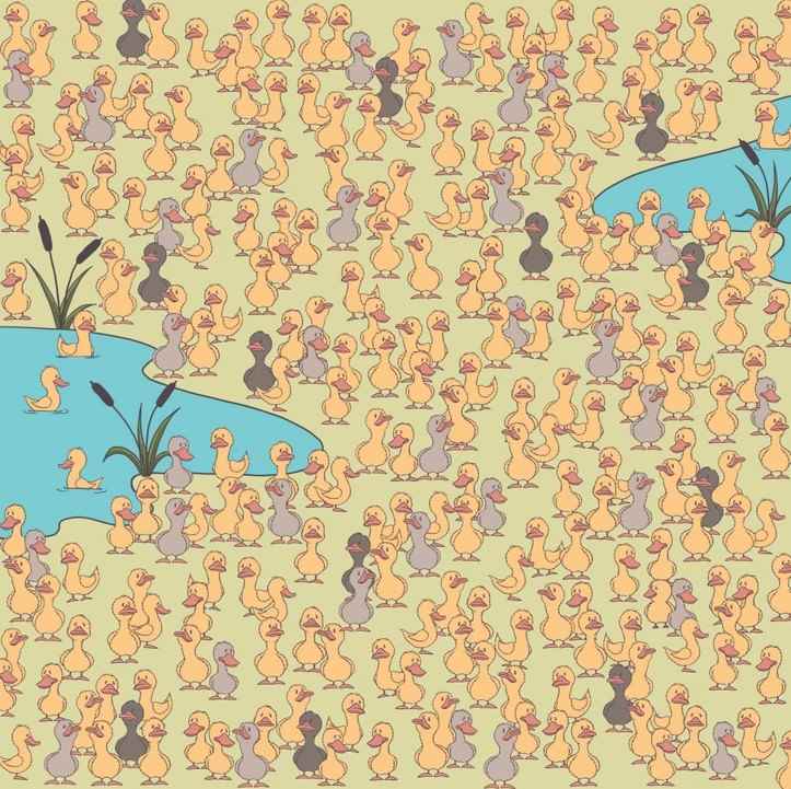 המסתורין והעיקר