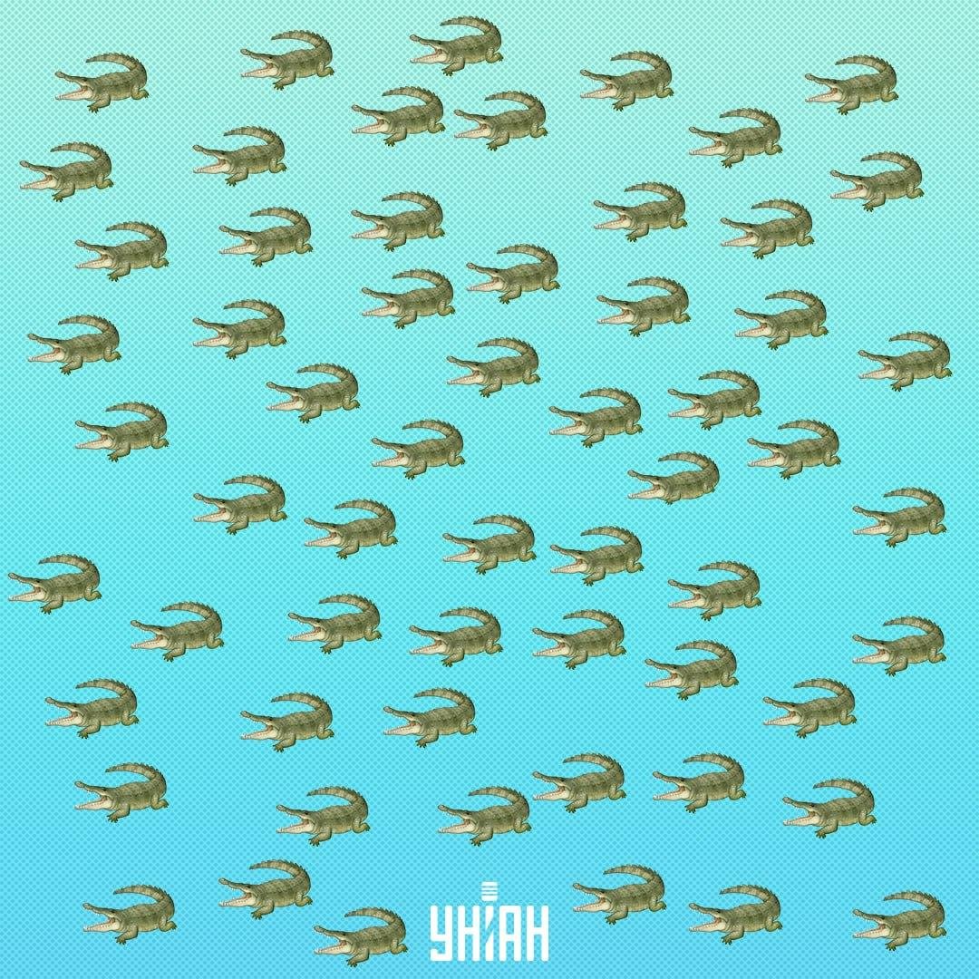 הזוחל התחבא, אבל יש לראות אותו תוך 15 שניות / קולאז' Moje