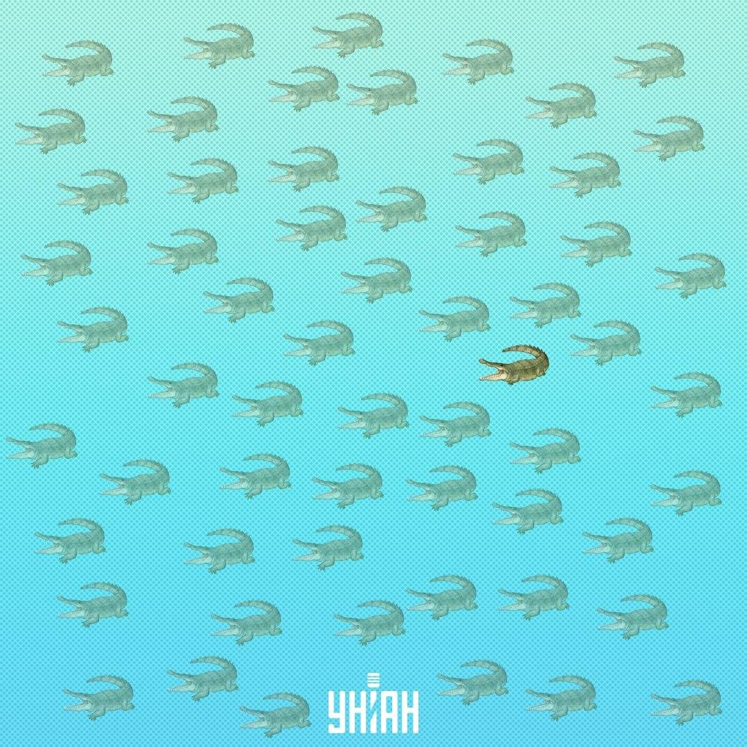 היה צורך לחפש אותו קרוב יותר למרכז, בצד ימין / קולאז' Moje