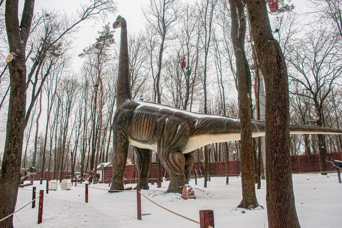 מצא כלב בין השלג תוך 10 שניות / קולאז' Moje