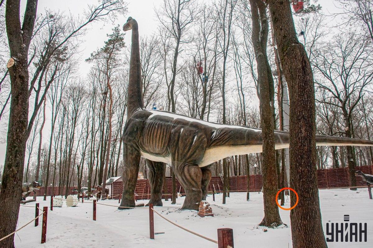 הכלב היה ליד הפינה השמאלית התחתונה של התמונה/קולאז' Moje