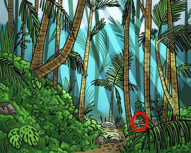 אשליה אופטית לאנשים ייחודיים: אתה צריך למצוא נמר ביער תוך 9 שניות