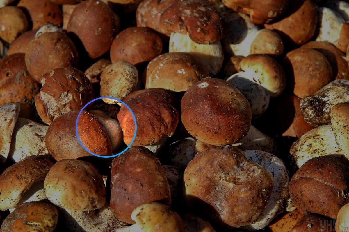 האבן הייתה כמעט במרכז האשליה האופטית / קולאז' Moje