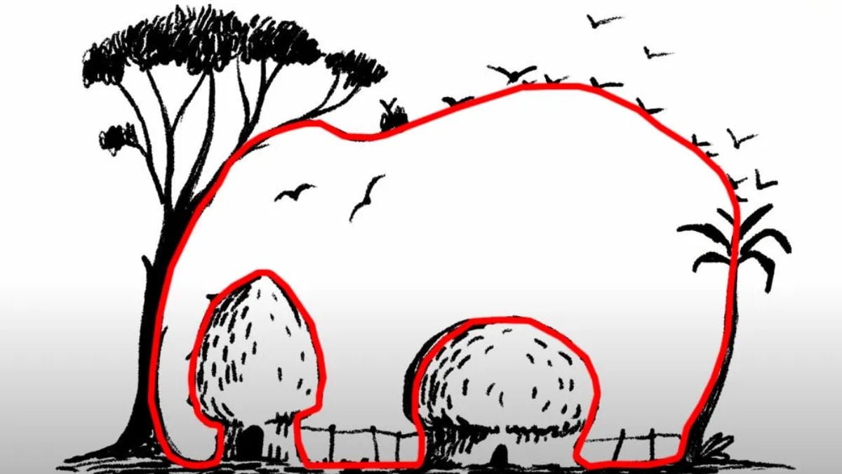 פתרון אשליה אופטית