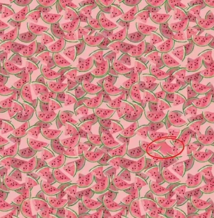 מצא אבטיח מיוחד תוך 10 שניות