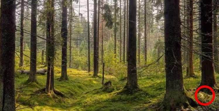 מִסתוֹרִין