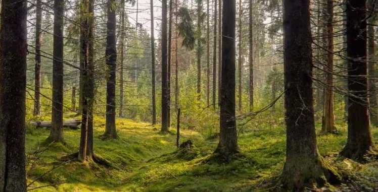 מִסתוֹרִין