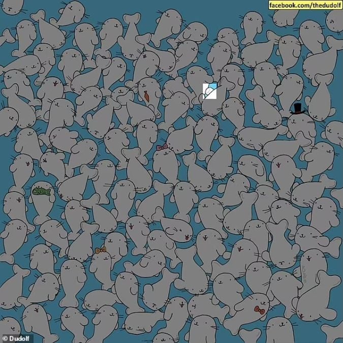 פאזל לאנשים עם ראייה חדה: מצא את המרשמלו בין כלבי הים תוך 11 שניות