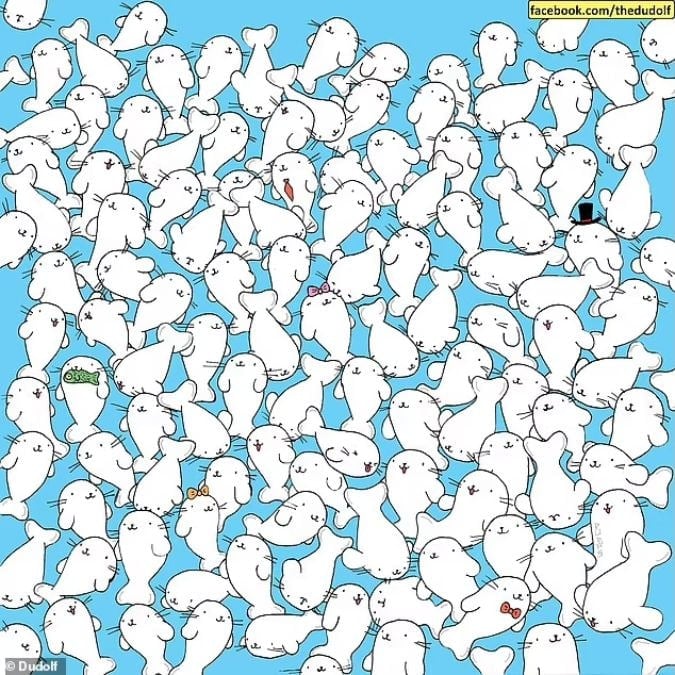 פאזל לאנשים עם ראייה חדה: מצא את המרשמלו בין כלבי הים תוך 11 שניות