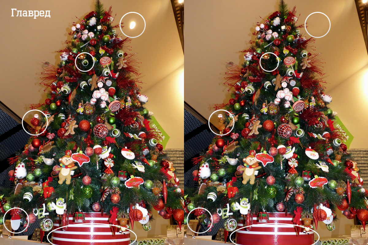 פתרון החידה