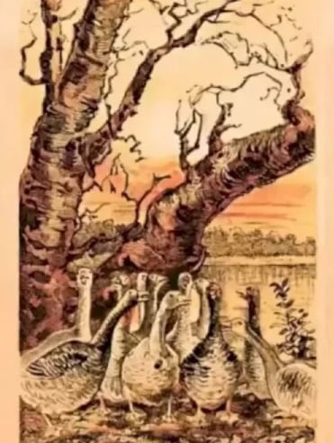 אשליה אופטית