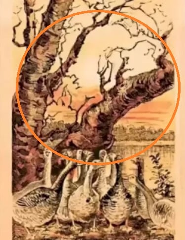 אשליה אופטית